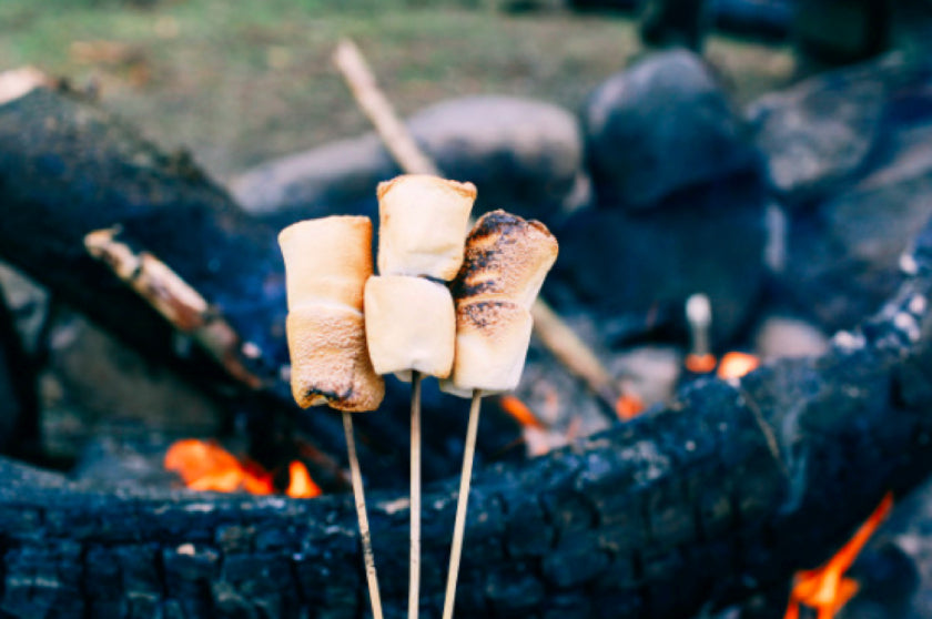 Choosing an Outdoor Fire Pit Design to Cozy Up To in 2020: Styles, DIY Projects, & More!