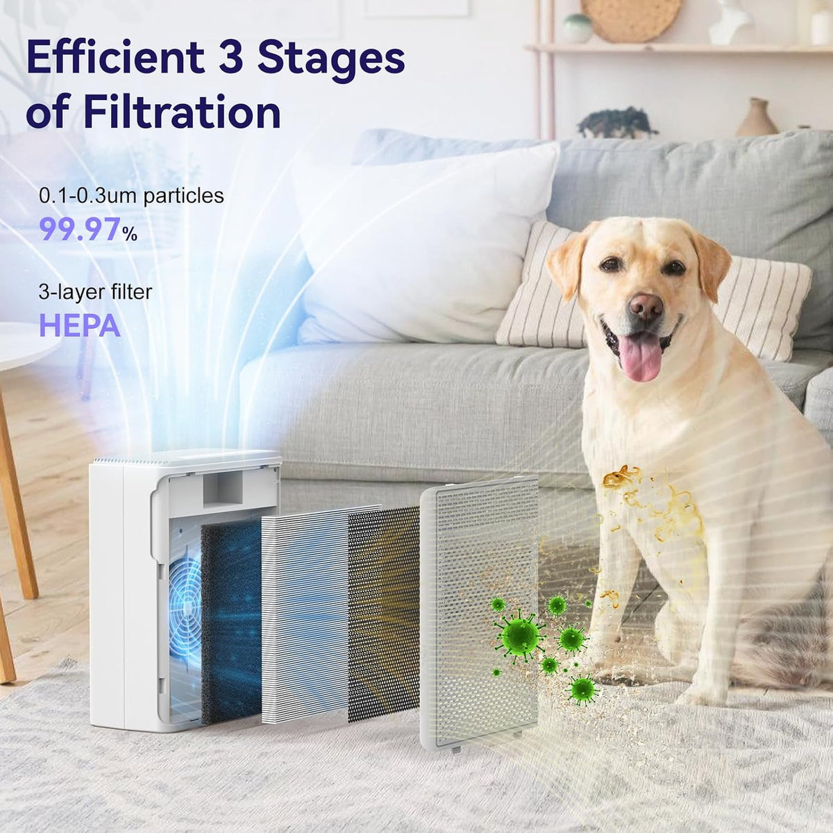HEPA Air Purifier for Home Bedroom and Pets 165 CFM with 3 Speeds