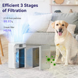 HEPA Air Purifier for Home Bedroom and Pets 165 CFM with 3 Speeds