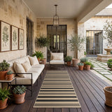 Black and beige striped jute runner rug on dark wood deck with outdoor furniture and potted plants