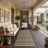 Beige and dark gray striped jute runner rug on dark wood deck with outdoor furniture and potted plants