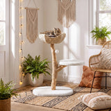 A cat rests in a wicker basket atop a 35" tall solid wood cat tree with a branch design, in a sunlit room with plants and macrame decor