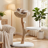 A cat rests in a wicker basket atop a 35" tall solid wood cat tree with a branch design, in a sunlit living room
