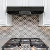 Range Hood 30 Inch Under Cabinet, Stainless Steel Kitchen Vent Hood 280CFM, Built-in Kitchen Stove Hood W/Rocker Button Control
