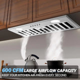 Range Hood Insert 20 Inch 600 CFM Stainless Steel,  Ultra-Quiet Built-in Kitchen Exhaust Hood with Dishwasher-Safe Filter,