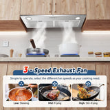 Range Hood Insert 30 Inch Stainless Steel Built-in Kitchen Hood with 13m³ / Min, Ductless/Ducted Range Hood, Push Button Control