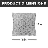 Decorative Throw Pillow