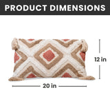 Decorative Throw Pillow