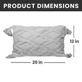 Decorative Throw Pillow