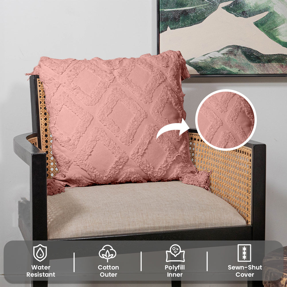 Decorative Throw Pillow