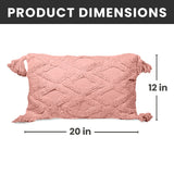 Decorative Throw Pillow