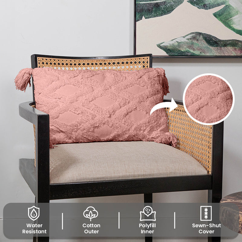 Decorative Throw Pillow