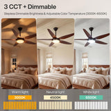 THCL-TD0047