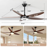 THCL-TD0047