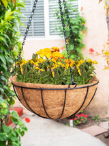 coconut liner hanging baskets 