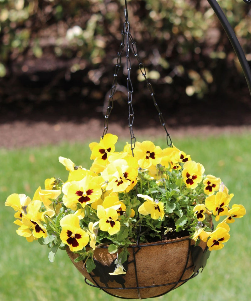 coco liners for wire hanging baskets