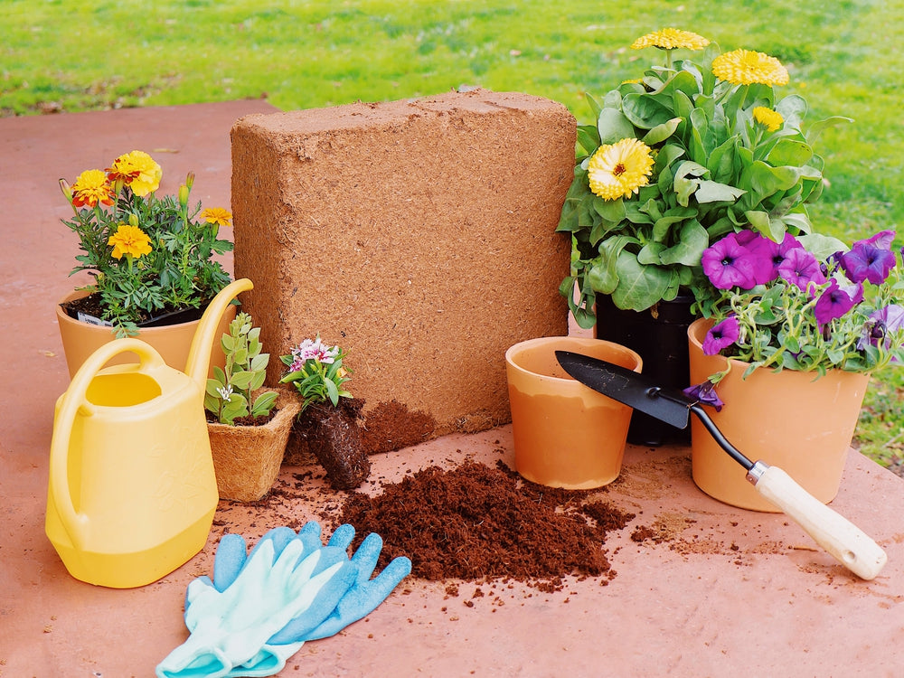 Coir Growing Medium Coco Coir Potting Soil 10-lb Block