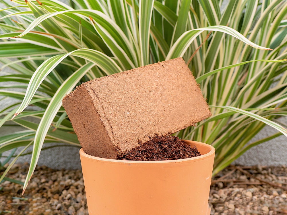 Coir Growing Medium Coco Potting Soil 1.5-lb Block