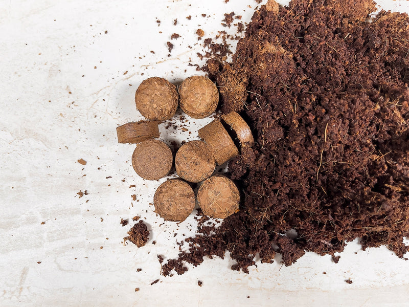 Coco Grow Discs Seed Starter Coir Pellets, 0.8" Dia. - 180 Pack