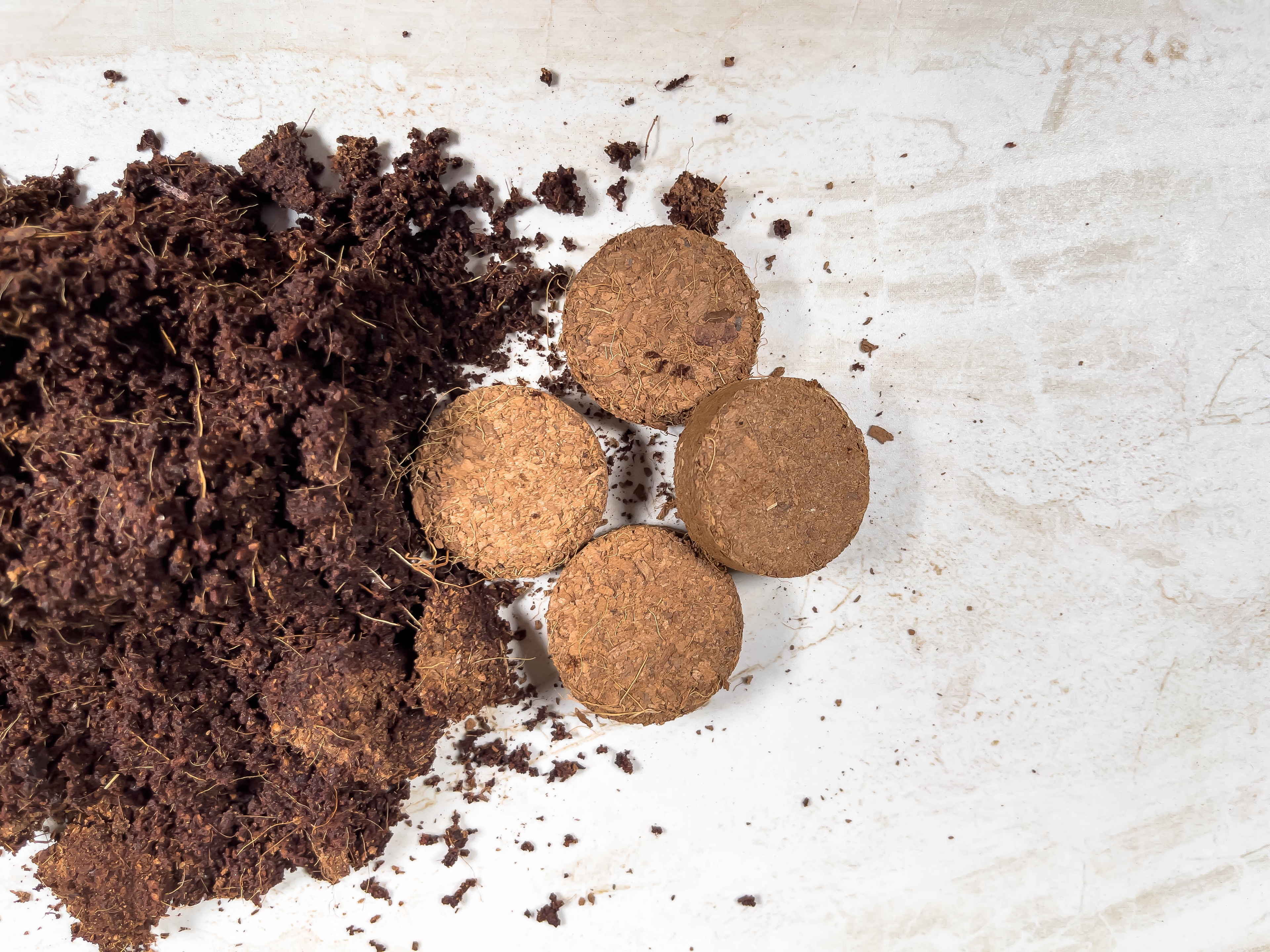 Coir Grow Discs 1.2 Inches - 100 pack