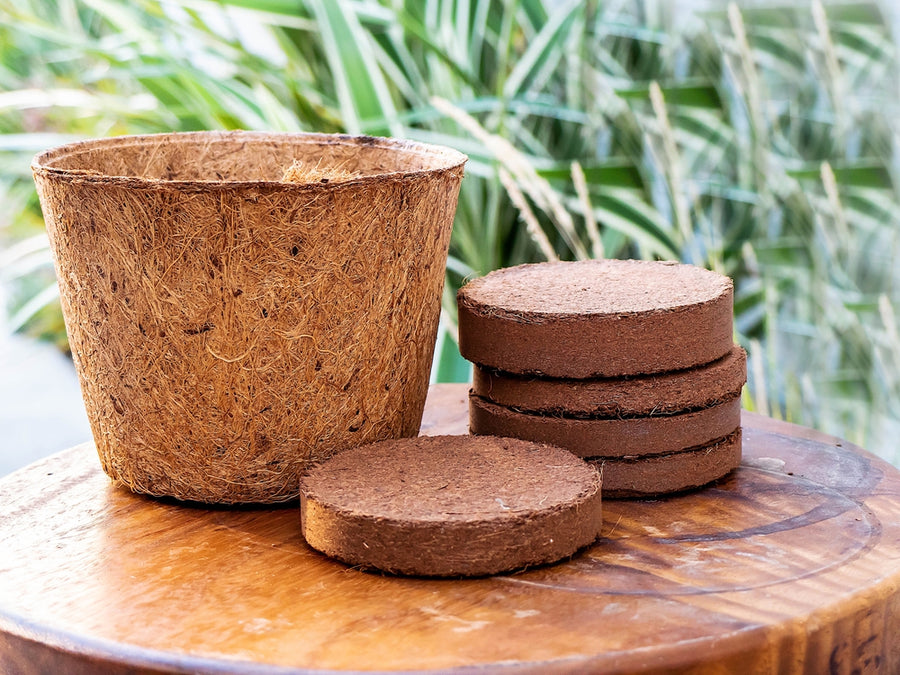 Coco Coir Seed Starter Cups | Coco Pots | Envelor Home – EnvelorHome