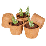 Coco Pot 6 Inch Top Diameter - 5 Pack