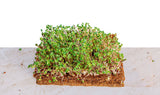 Coco Coir 9" x 9" Grow Mats