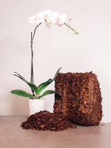 Coconut Coir Husk Chips Coco Mulch