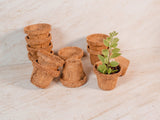 Coco Seed Starter Cup 2.5 Inch Diameter - 36 Pack