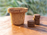 Coco Seed Starter Cup 2.5 Inch Diameter - 36 Pack