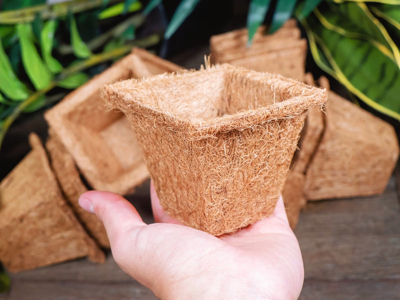 Coco Coir Seed Starter Germination Cups - 4 inches, 20 Pack