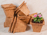Coco Coir Seed Starter Germination Cups - 4 inches, 20 Pack