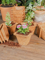 Coco Coir Seed Starter Germination Cups - 4 inches, 20 Pack