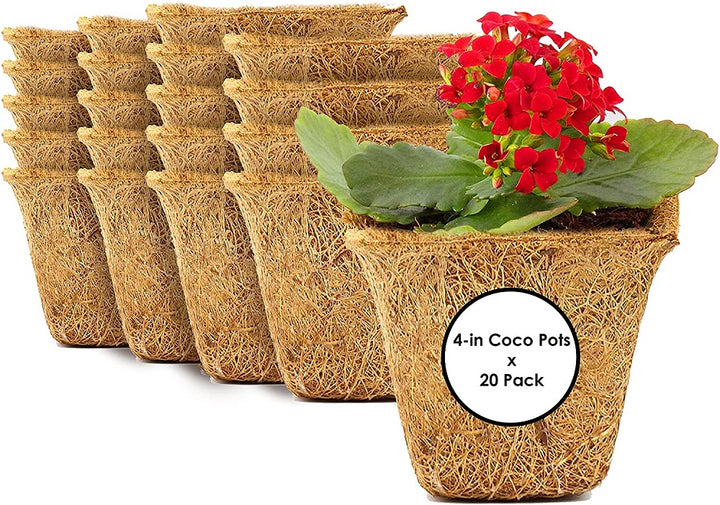Coco Coir Seed Starter Germination Cups - 4 inches, 20 Pack