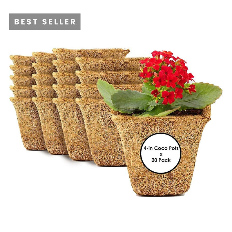 Coco Coir Seed Starter Germination Cups - 4 inches, 20 Pack