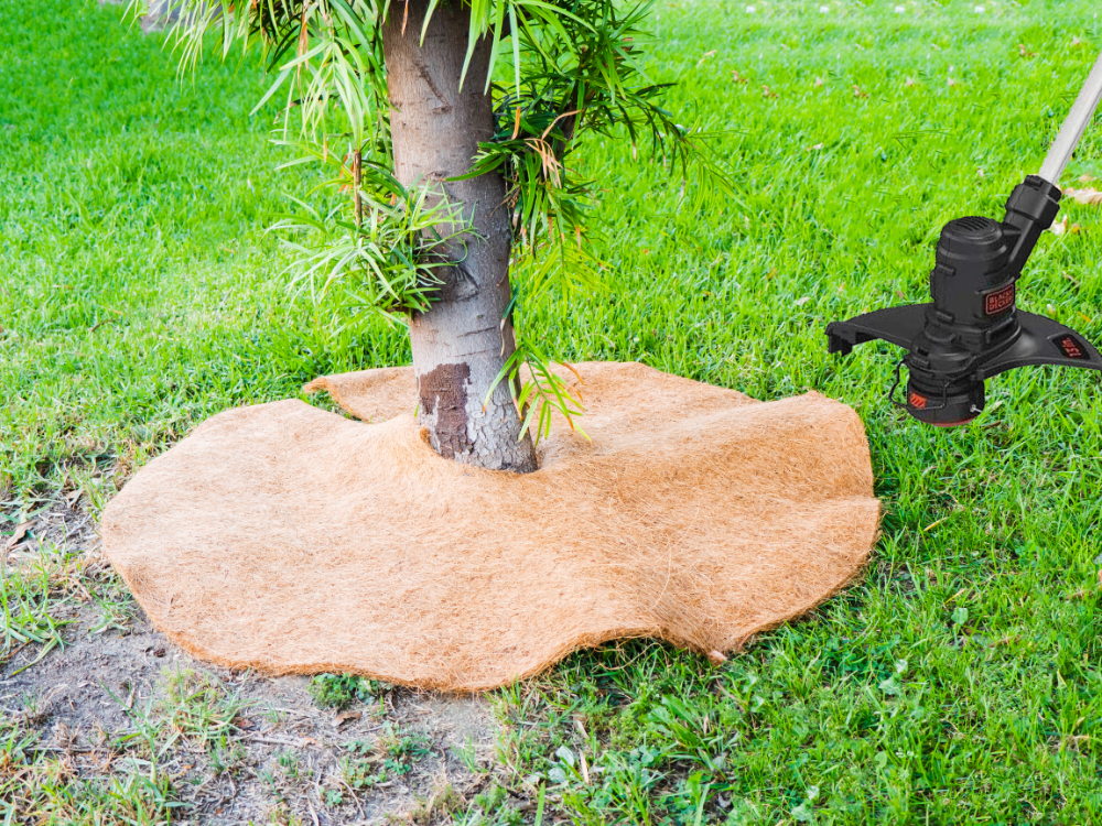 36 Inches Weed Control Discs Coco Tree Rings