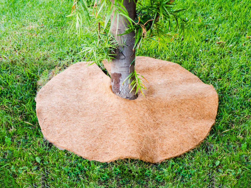 36 Inches Weed Control Discs Coco Tree Rings