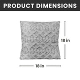 Decorative Throw Pillows - 2 Pack