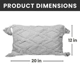 Decorative Throw Pillows - 2 Pack
