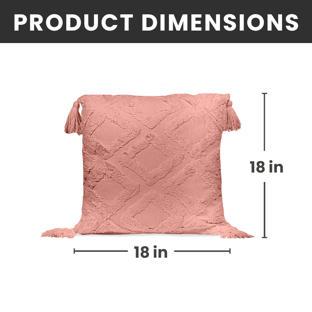 Decorative Throw Pillows - 2 Pack