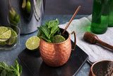 Sol Living Moscow mule mug set