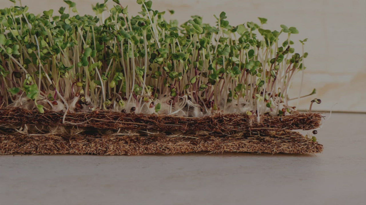 Coco Coir 10" x 20" Grow Mats
