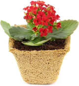Coco Coir Seed Starter Germination Cups - 4 inches, 20 Pack