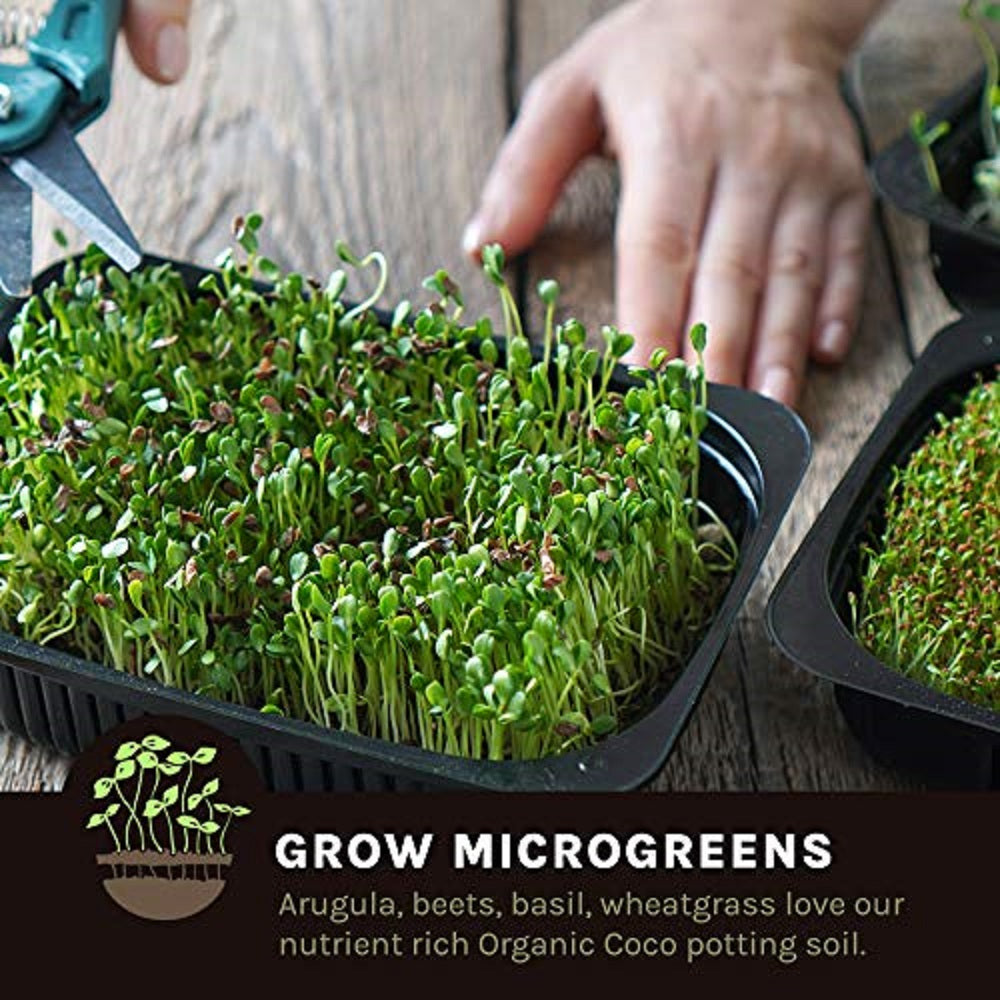 Buffered Coco Grow Media 50 Liters Bag