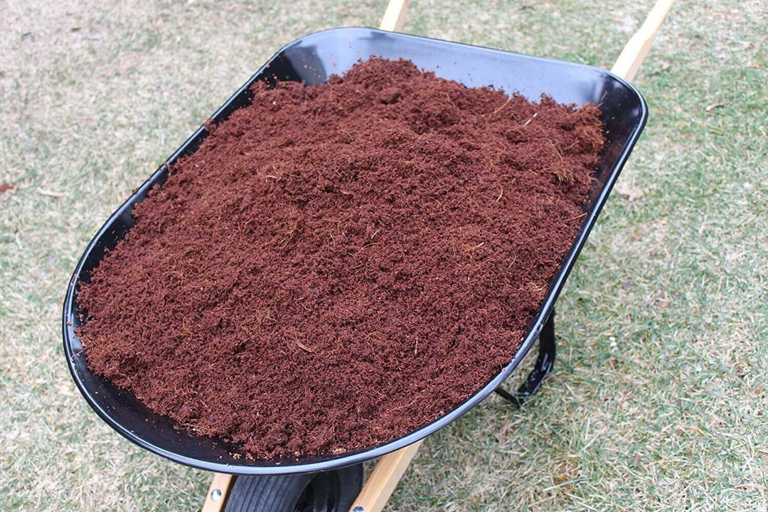Coir Growing Medium Coco Coir Potting Soil 11-lb Block