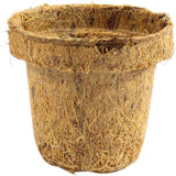 Coco Seed Starter Cup 2.5 Inch Diameter - 36 Pack
