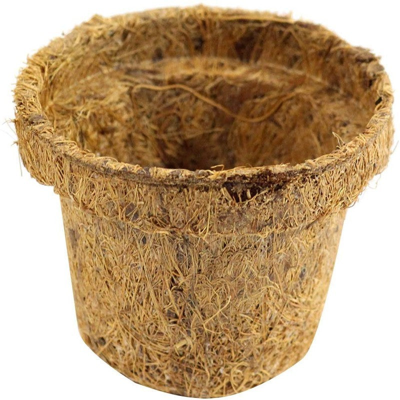 Envelor Organic Coco Coir Grow Pots - 6 In. Diameter, 5 Pack - Seed  Starters for Indoor/Outdoor Use - Biodegradable Seed Starter Cups - High  Moisture