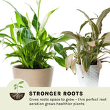 Coir Growing Medium Coco Coir Potting Soil 10-lb Block